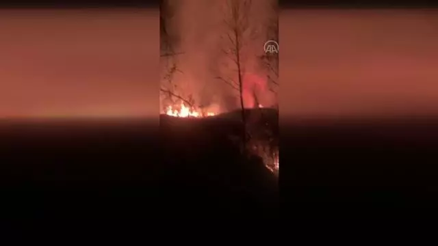 Son dakika haber: Orman yangını kontrol altına alındı Son dakika haber: Orman yangını kontrol altına alındı
