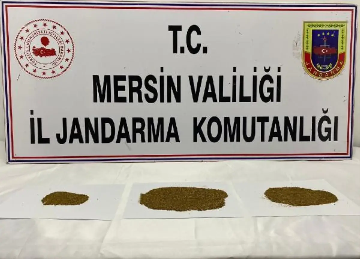 Son Dakika | Silifke'de uyuşturucu operasyonuna 4 gözaltı