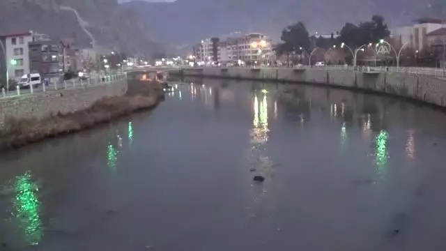 Son dakika... Yeşilırmak'ta balık ölümleri görülüyor Son dakika... Yeşilırmak'ta balık ölümleri görülüyor