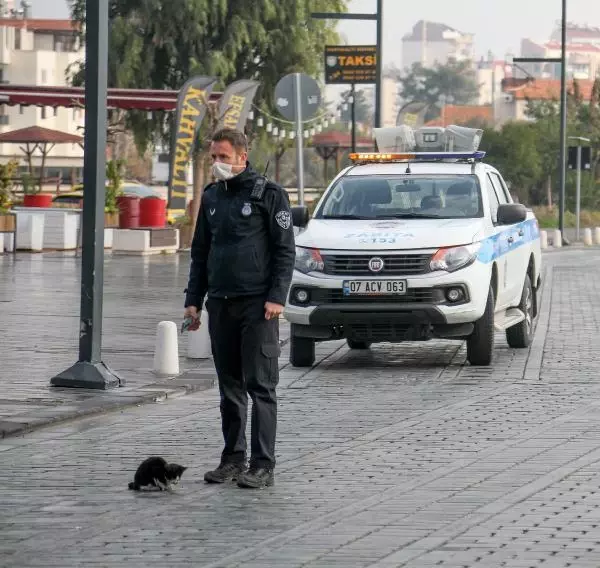 Yüzünden yaralı kediye kurtarma seferberliği