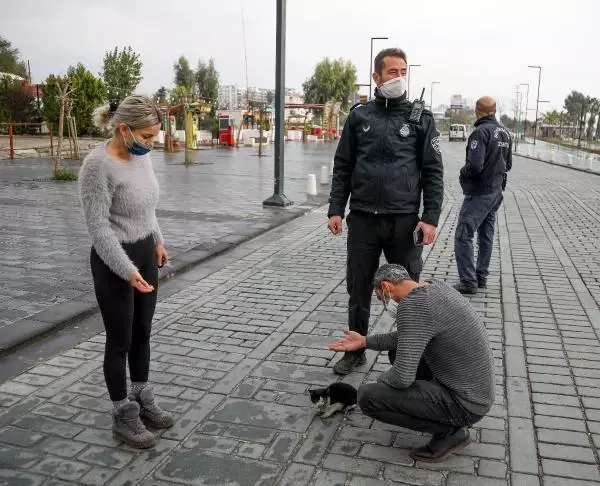 Yüzünden yaralı kediye kurtarma seferberliği