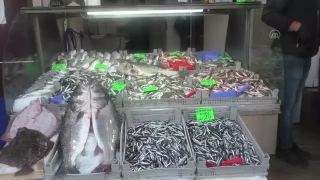 Akçakoca'da avlanan 3 levrek 2 bin 600 liraya satılacak Akçakoca'da avlanan 3 levrek 2 bin 600 liraya satılacak