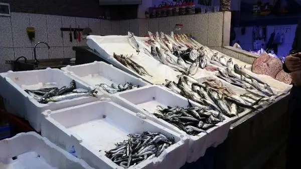 Avı yasaklanan hamsi için buzhaneler açıldı, stoklar piyasaya sürülüyor Avı yasaklanan hamsi için buzhaneler açıldı, stoklar piyasaya sürülüyor