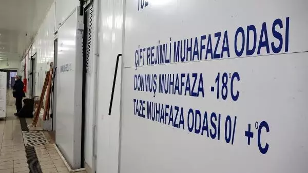 Avı yasaklanan hamsi için buzhaneler açıldı, stoklar piyasaya sürülüyor Avı yasaklanan hamsi için buzhaneler açıldı, stoklar piyasaya sürülüyor