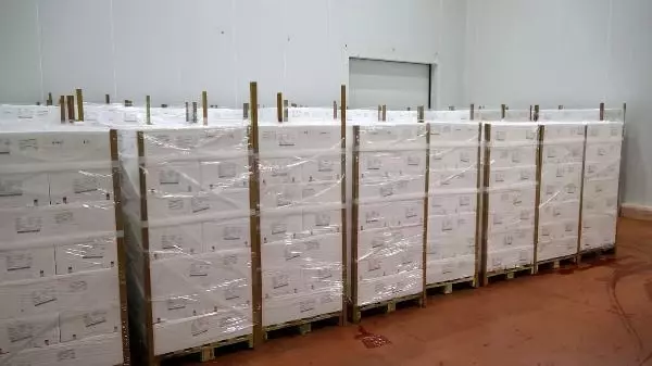 Avı yasaklanan hamsi için buzhaneler açıldı, stoklar piyasaya sürülüyor Avı yasaklanan hamsi için buzhaneler açıldı, stoklar piyasaya sürülüyor