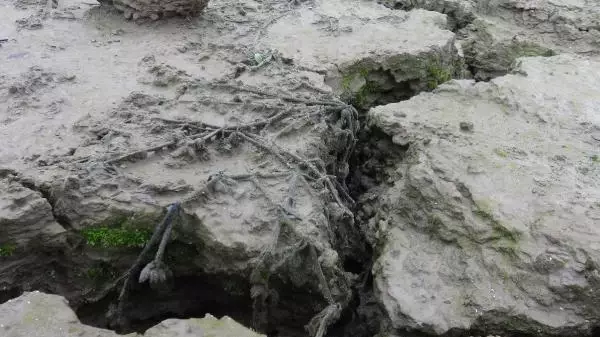Baraj suyu çekildi, mahallenin kalıntıları ortaya çıktı Baraj suyu çekildi, mahallenin kalıntıları ortaya çıktı