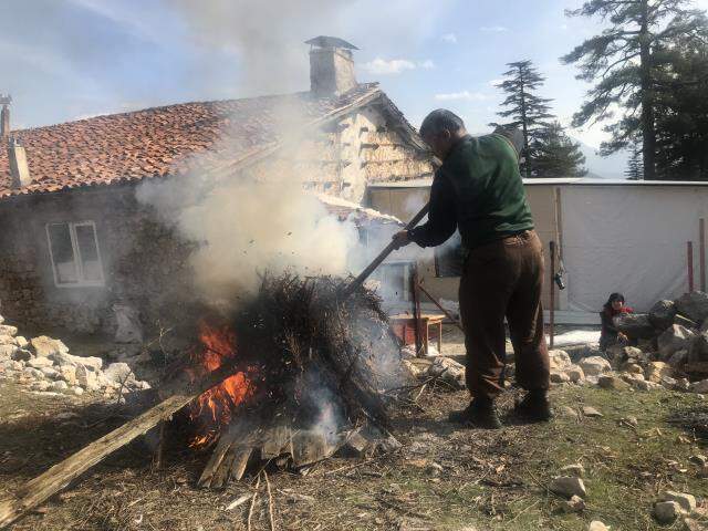 Faydaları saymakla bitmeyen katranın kilosu 150 liradan alıcı buluyor