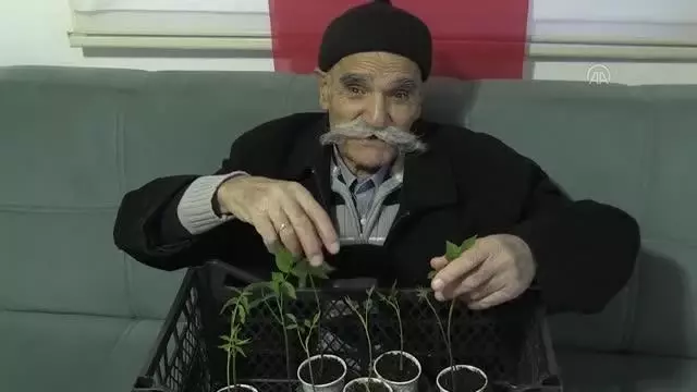 Görme engelli 80 yaşındaki Tevhik dede yaşam azmiyle örnek oluyor Görme engelli 80 yaşındaki Tevhik dede yaşam azmiyle örnek oluyor