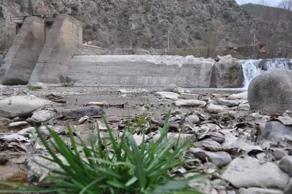 Harşit Çayı'nda kirlilik Harşit Çayı'nda kirlilik