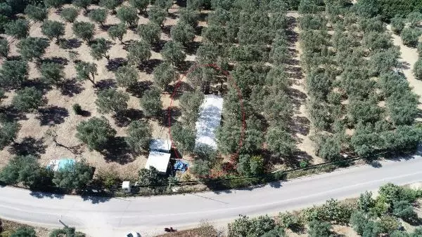 İznik'te 5 lahde ulaşılan alana yüksek güvenlikli koruma İznik'te 5 lahde ulaşılan alana yüksek güvenlikli koruma