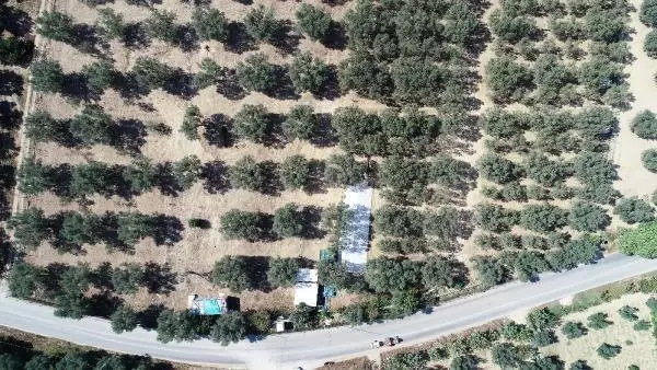 İznik'te 5 lahde ulaşılan alana yüksek güvenlikli koruma İznik'te 5 lahde ulaşılan alana yüksek güvenlikli koruma