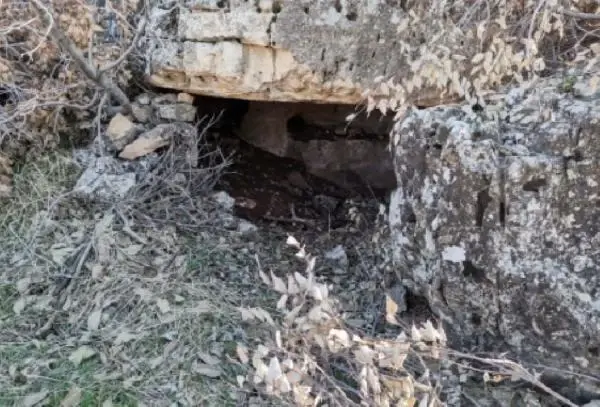 Mardin'de terör örgütü işbirlikçilerine operasyon: 22 gözaltı Mardin'de terör örgütü işbirlikçilerine operasyon: 22 gözaltı