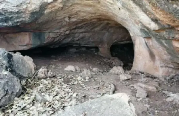 Mardin'de terör örgütü işbirlikçilerine operasyon: 22 gözaltı Mardin'de terör örgütü işbirlikçilerine operasyon: 22 gözaltı