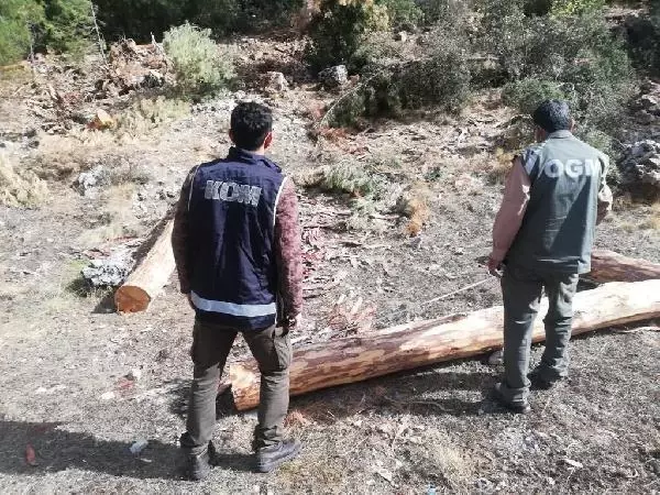 Muğla'da Orman Ihalesinde Usulsüzlük Soruşturmasında Gözaltılar Devam Ediyor 3 Muğla'da orman ihalesinde usulsüzlük soruşturmasında 4 gözaltı