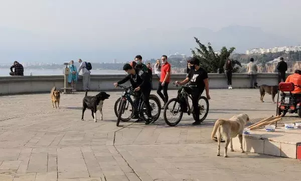 Spor ve yürüyüş yapanların korkulu rüyası 'lastik çetesi'