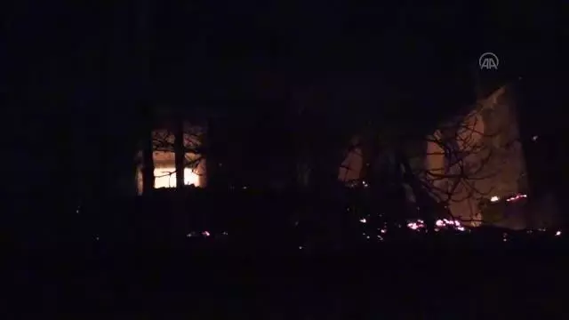 Araklı'daki yangına müdahale ediliyor (2)