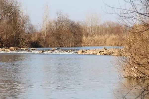 Son dakika haberi... 'Canlı türlerin yuvaları insanların yapılarına göre daha dayanıklı' Son dakika haberi... 'Canlı türlerin yuvaları insanların yapılarına göre daha dayanıklı'