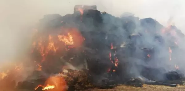 Kahramanmaraş'ta çiftlikte yangın Kahramanmaraş'ta çiftlikte yangın