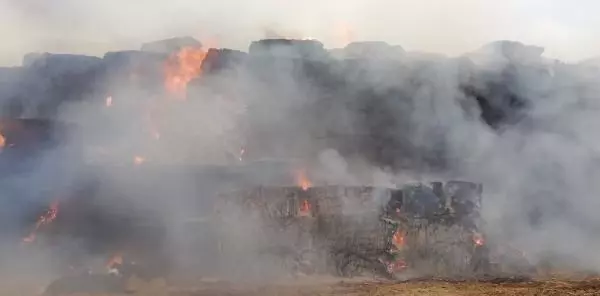 Kahramanmaraş'ta çiftlikte yangın Kahramanmaraş'ta çiftlikte yangın