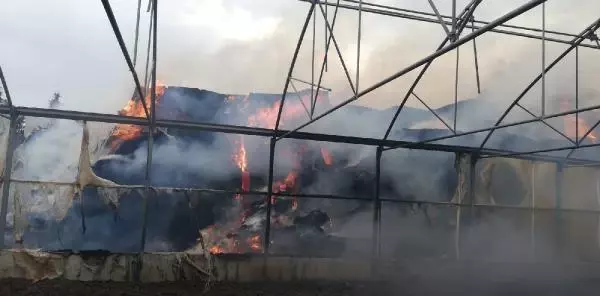 Kahramanmaraş'ta çiftlikte yangın Kahramanmaraş'ta çiftlikte yangın