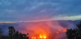 Trabzon'da 2 ilçede orman yangını