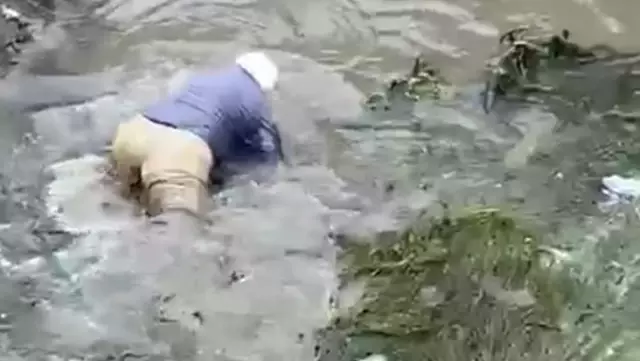 Yaşlı adam, boyu kadar balığı suya girerek eliyle yakalayıp kıyıya çıkardı Yaşlı adam, boyu kadar balığı suya girerek eliyle yakalayıp kıyıya çıkardı