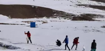 Kaymakam, polisler ve gençlerle doğaya yem bıraktı