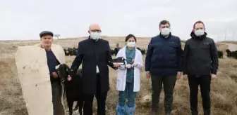 Veterinerlik Fakültesi: Son dakika haber... Mobil mikroskop, hayvan ölümlerini durduracak Veterinerlik Fakültesi: Son dakika haber... Mobil mikroskop, hayvan ölümlerini durduracak