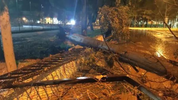 Osmaniye'de sağanak ve fırtına çatıları uçurdu, ağaçları devirdi Osmaniye'de sağanak ve fırtına çatıları uçurdu, ağaçları devirdi