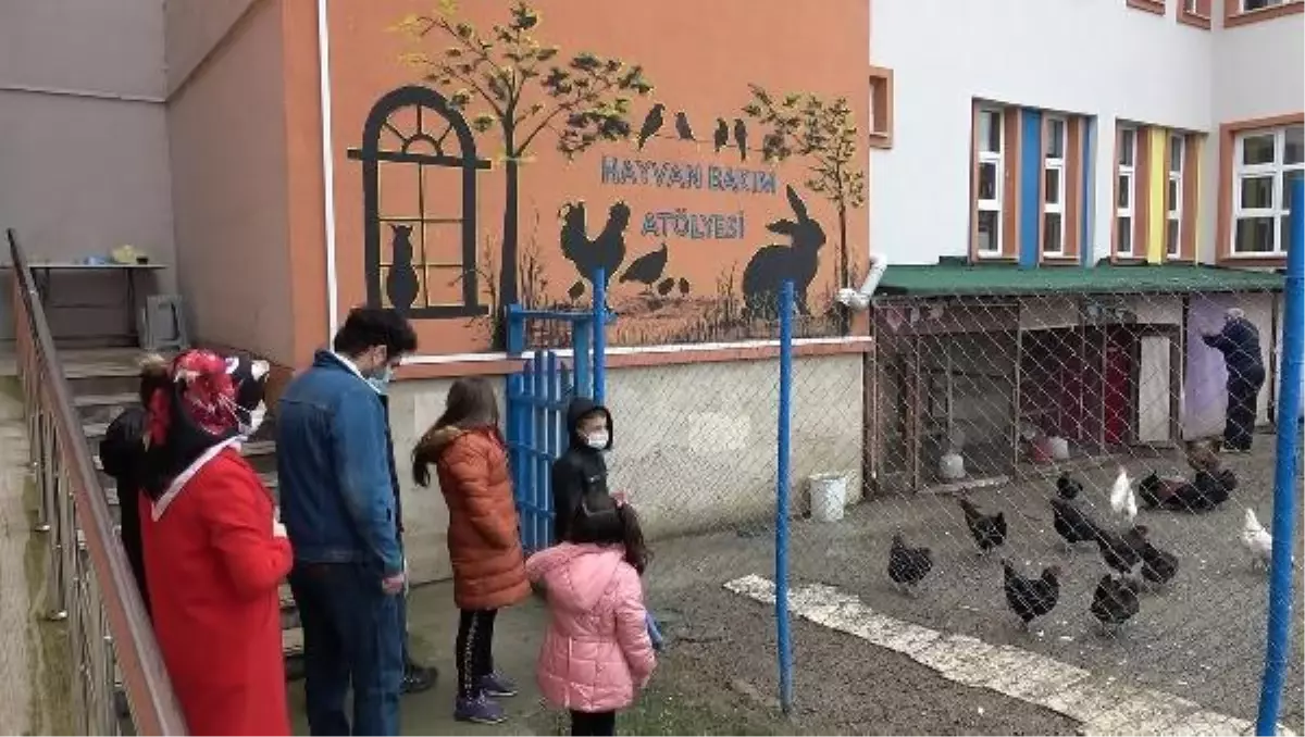 Otizmli öğrenciler için okulun bahçesinde sera ve kümes yaptılar