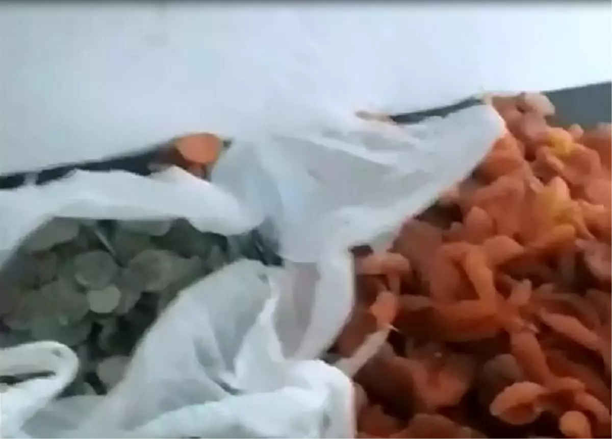 Otobüsteki kayısı kolilerinden Bizans dönemine ait eserler çıktı