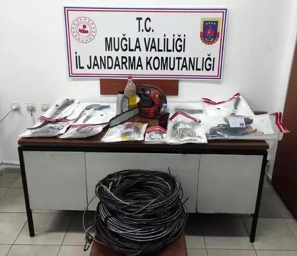 Son Dakika | 600 metre telefon hattı kablosu çalan orman işçisi yakalandı Son Dakika | 600 metre telefon hattı kablosu çalan orman işçisi yakalandı