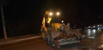 Burdur: Son dakika! Ahırdan kaçan atlara otomobil çarptı: Anne at öldü, yavrusu yaralandı Burdur: Son dakika! Ahırdan kaçan atlara otomobil çarptı: Anne at öldü, yavrusu yaralandı