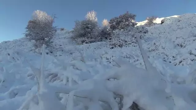 ÇANAKKALE - Yüksek kesimlerde kar yağışı etkili oldu (2) ÇANAKKALE - Yüksek kesimlerde kar yağışı etkili oldu (2)