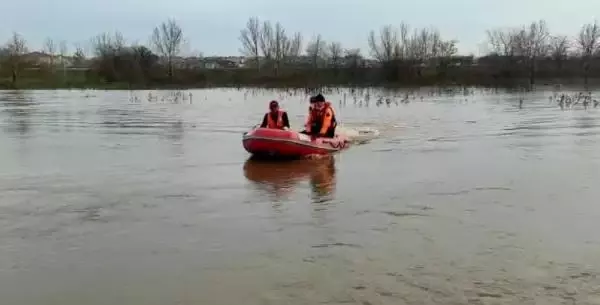 Edirne'de selde mahsur kalan yavru köpekleri, AFAD kurtardı Edirne'de selde mahsur kalan yavru köpekleri, AFAD kurtardı