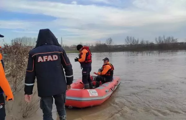 Edirne'de selde mahsur kalan yavru köpekleri, AFAD kurtardı Edirne'de selde mahsur kalan yavru köpekleri, AFAD kurtardı