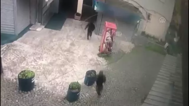 Fatih'te turist kadınların çantalarını alan kapkaç zanlıları tutuklandı Fatih'te turist kadınların çantalarını alan kapkaç zanlıları tutuklandı