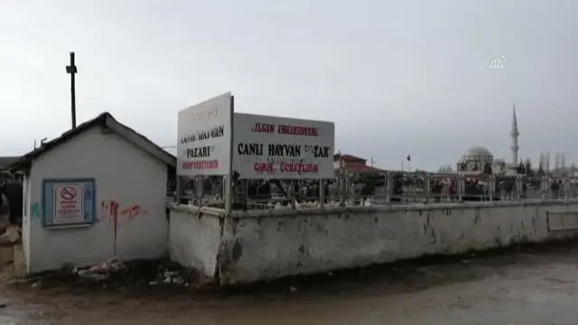 Ilgın'daki hayvan pazarı yeniden faaliyete açıldı Ilgın'daki hayvan pazarı yeniden faaliyete açıldı