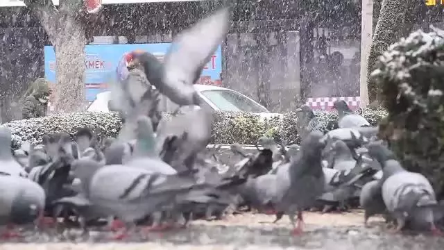 Kar yağışı etkili oluyor Kar yağışı etkili oluyor