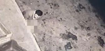 Köpeğe taciz güvenlik kamerasında