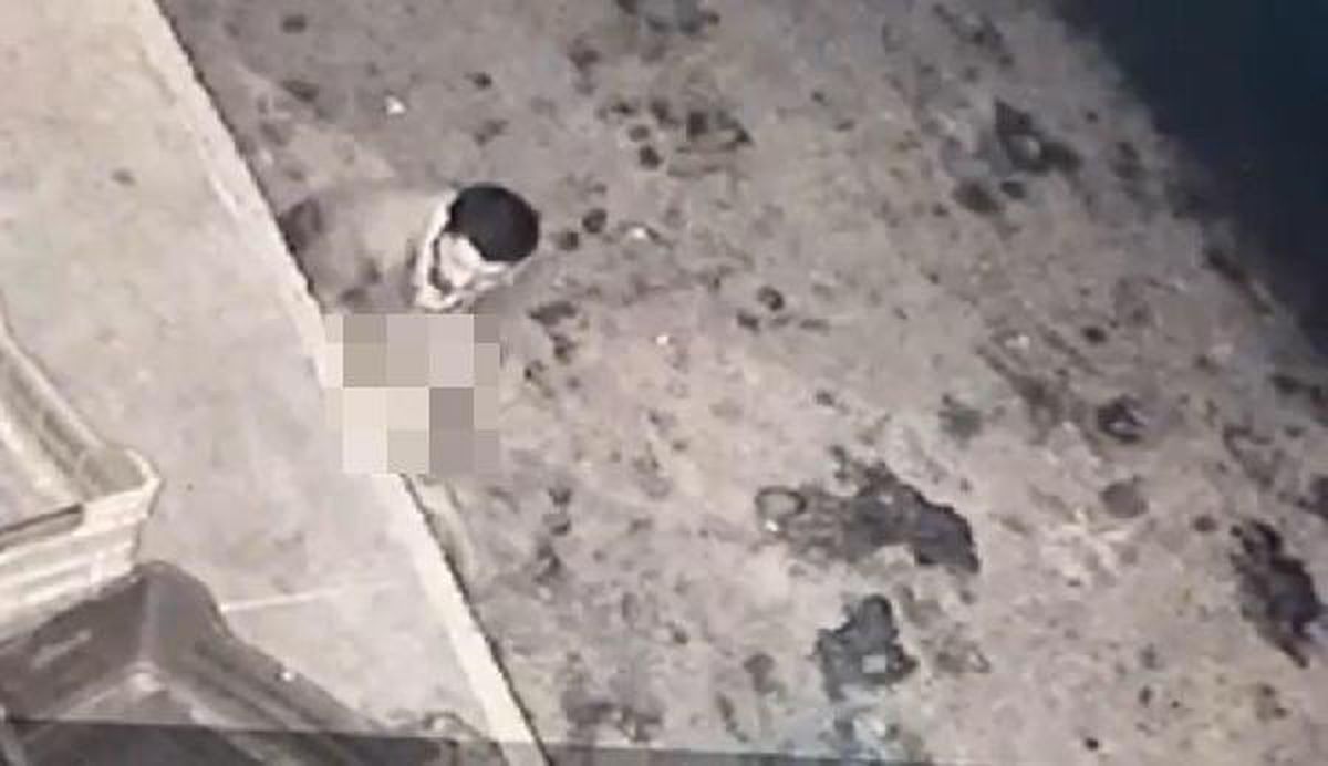 Köpeğe taciz güvenlik kamerasında