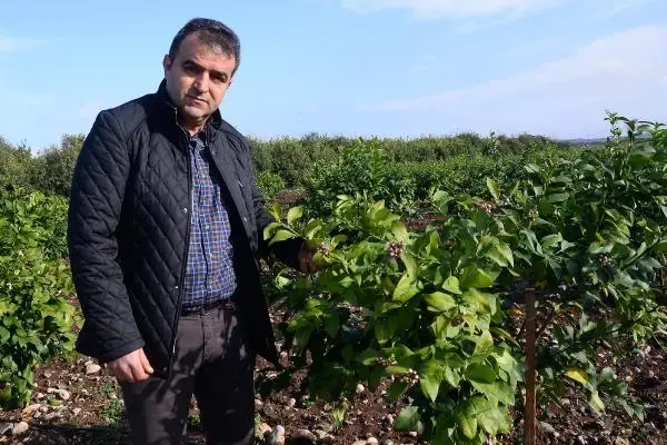 Mersin'de tarım arazileri doludan zarar gördü; narenciye kurtuldu Mersin'de tarım arazileri doludan zarar gördü; narenciye kurtuldu