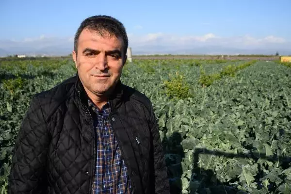 Mersin'de tarım arazileri doludan zarar gördü; narenciye kurtuldu Mersin'de tarım arazileri doludan zarar gördü; narenciye kurtuldu
