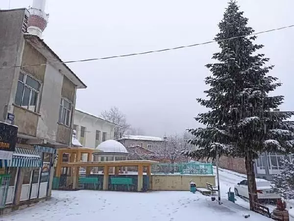 Ödemiş'e yılın ilk karı yağdı Ödemiş'e yılın ilk karı yağdı