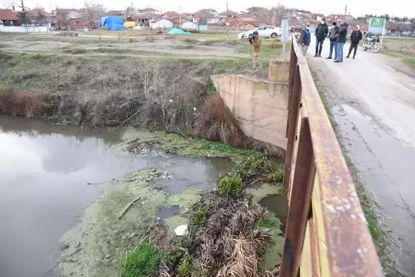 Porsuk Çayı'ndaki balık ölümleri endişe yarattı Porsuk Çayı'ndaki balık ölümleri endişe yarattı