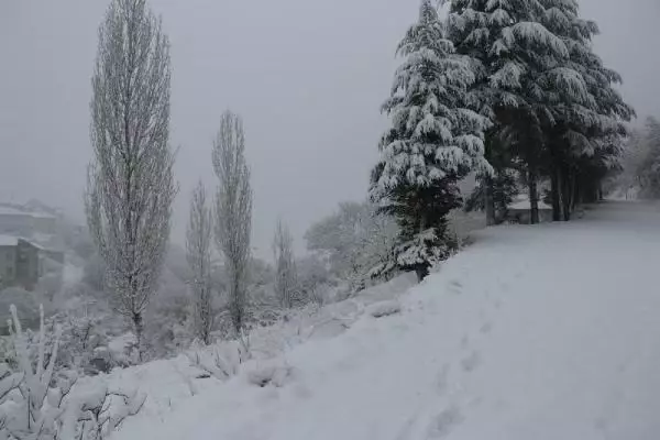 Simav, beyaza büründü Simav, beyaza büründü