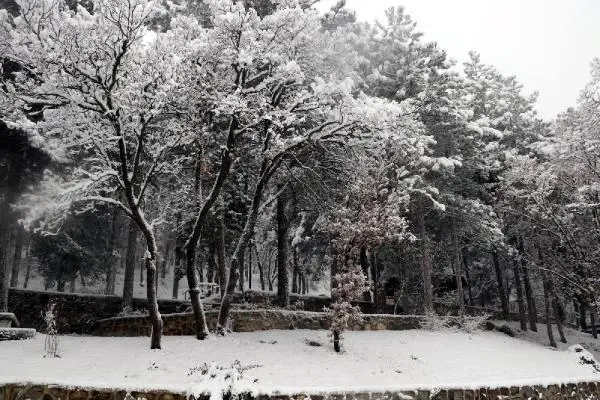 Simav, beyaza büründü Simav, beyaza büründü