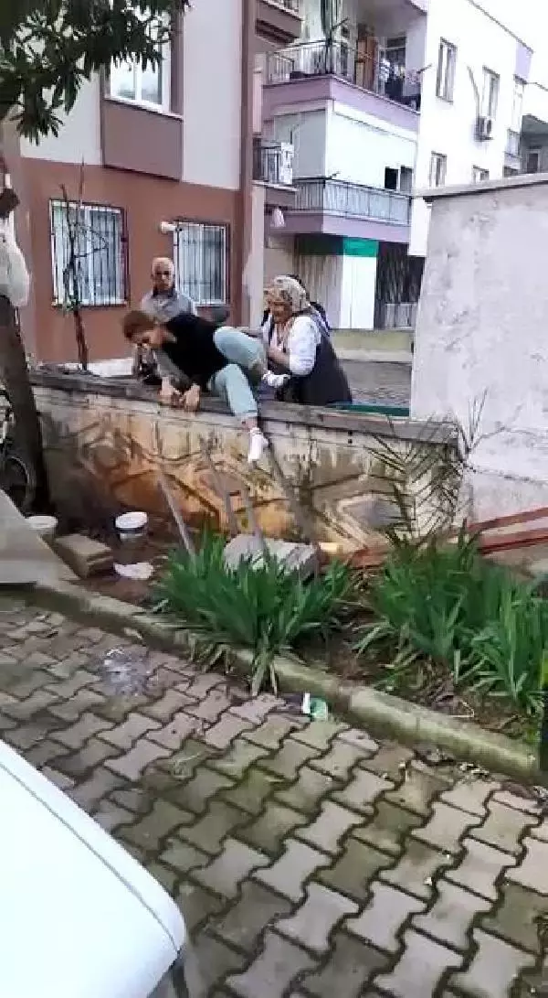 Sokak hayvanlarını besleyen üniversite öğrencisine saldırıda taraflar konuştu Sokak hayvanlarını besleyen üniversite öğrencisine saldırıda taraflar konuştu