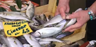 Tezgahlarda barbun, mezgit ve çinakopa talep arttı