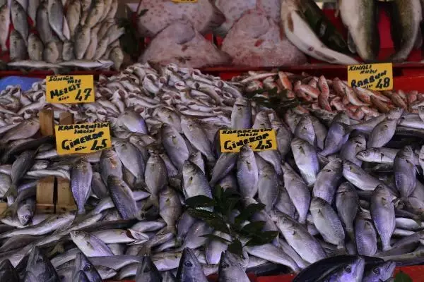 Tezgahlarda barbun, mezgit ve çinakopa talep arttı Tezgahlarda barbun, mezgit ve çinakopa talep arttı